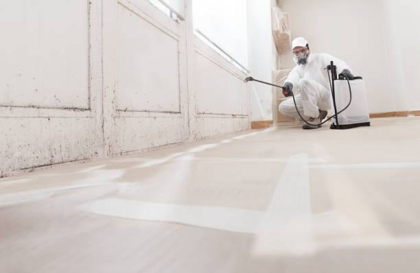 24/7 Emergency Attic Mold Remediation experts in Newton, IL